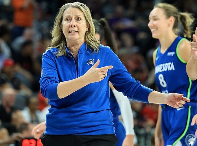 WNBA Coach Condemns Reckless Sex Toy Pranks After Two More Disrupt Chicago Game