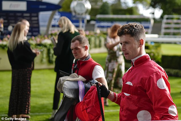 Ascot Race Fall Kills Horse, Injures Jockey; Stewards Postpone Inquiry