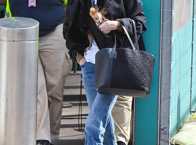 Demi Moore Carries Dog en Route to JFK Airport Following Candid Comments on Ex Bruce Willis’ Dementia